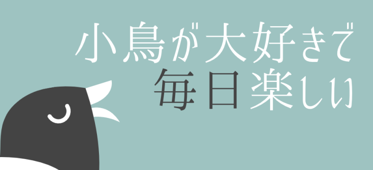 小鳥が大好きで毎日楽しい